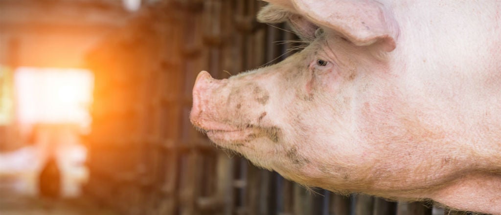 061318_chinesepork