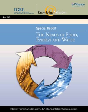 The cover of the PDF of 2013-06-26 Nexus of Food Energ-Water Special Report