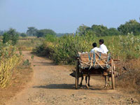 Rural India Accenture Report