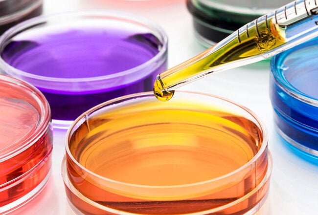 Petri dishes filled with colored liquids, with a pipette adding yellow liquid to one dish. Represents a scientific or laboratory setting.