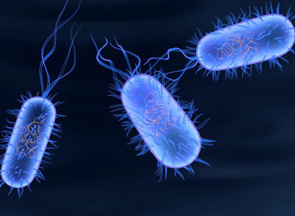 The Microbiome: Brave New World for Health Care - and Biotech ...