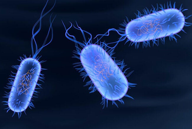 Illustration of three blue rod-shaped bacteria with flagella, set against a dark background.