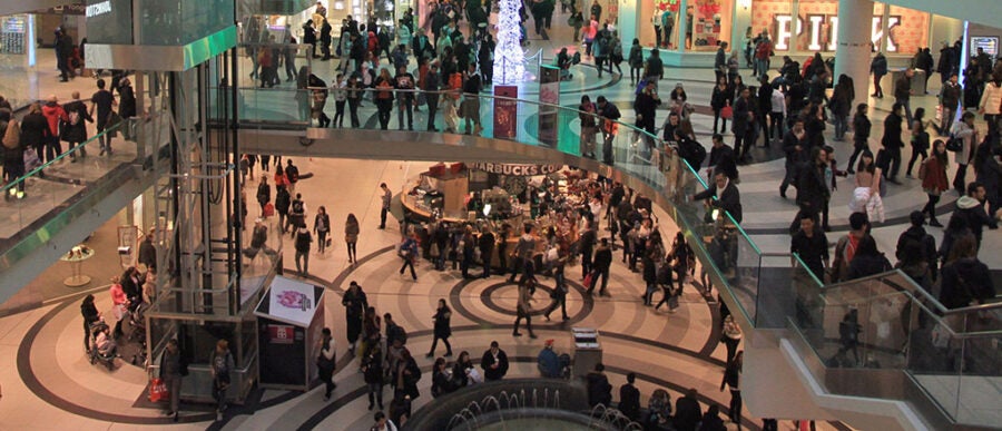 Who Will Survive the Great Mall Shake-out? - Knowledge at Wharton