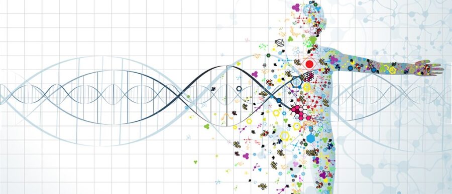 This $1,000 Test Finds Signs of Cancer in Your Blood - WSJ