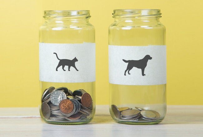 Two glass jars with labels of a cat and a dog; the cat jar is filled with more coins than the dog jar, suggesting a playful comparison or choice between the two.