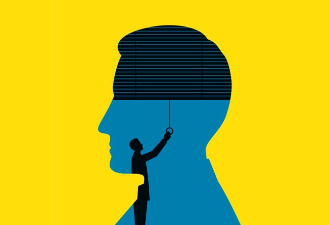 Illustration of a face in profile and a silhouette of a person inside pulling on a set of blinds. What's up behind the secret walls of family offices?