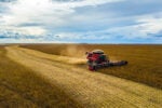 A red combine harvester in a vast field under a cloudy sky. The machine is harvesting crops, leaving a clear path behind.